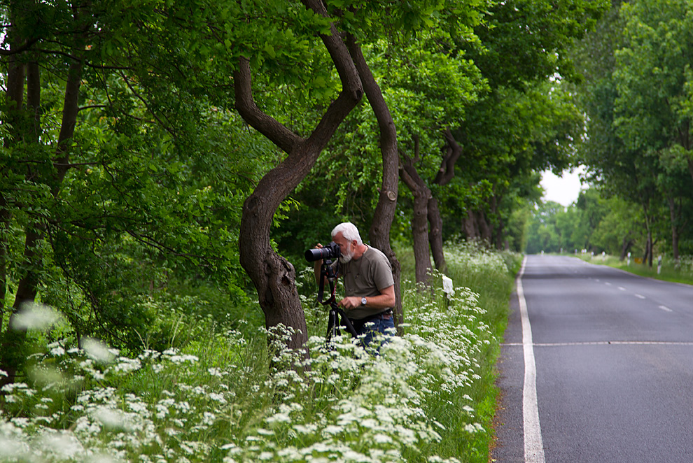 Man at work