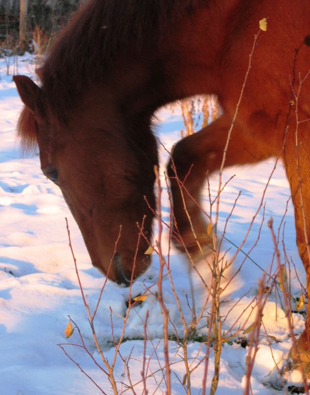 "Man, dieser Scheiß Schnee!!"