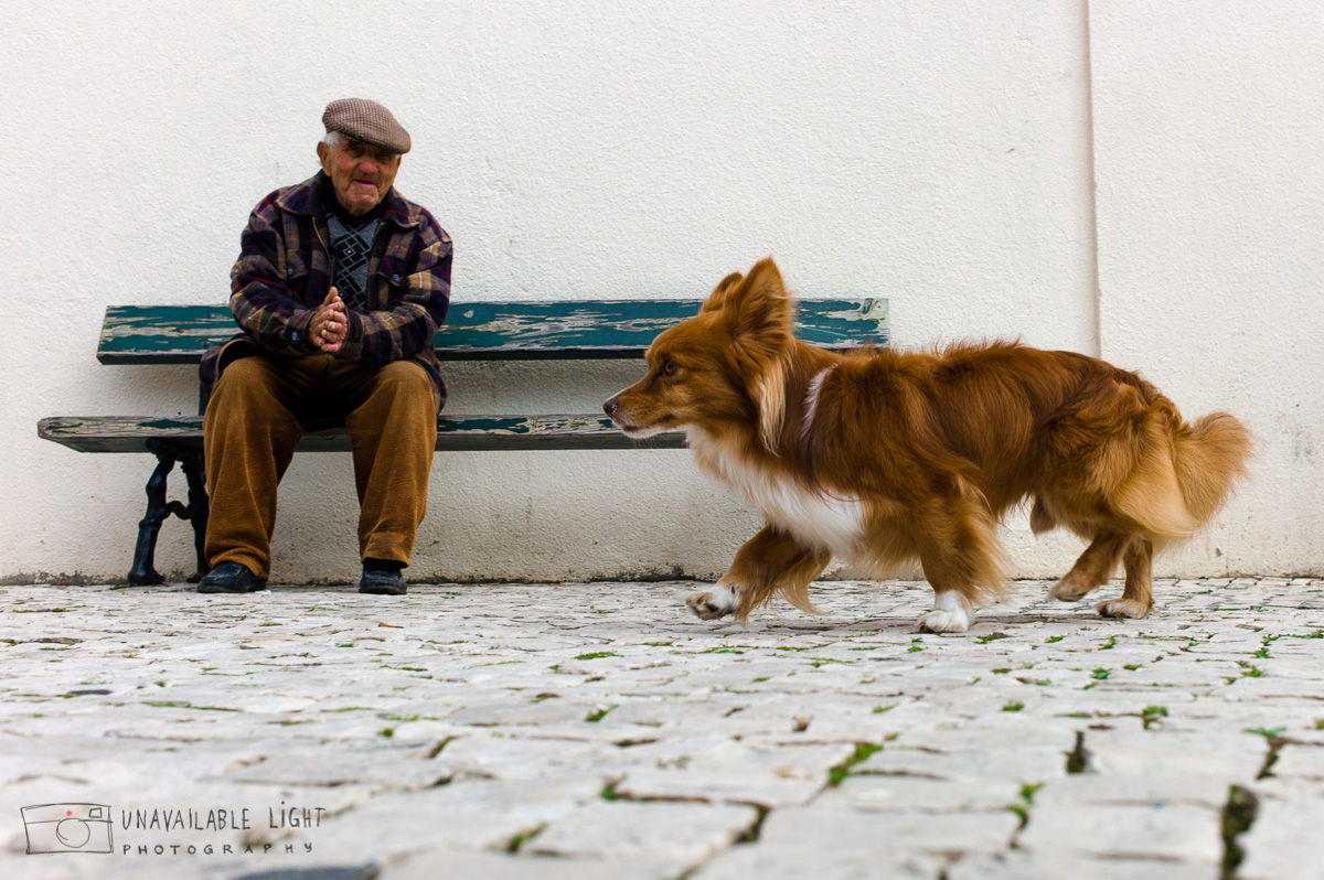 Man & Dog