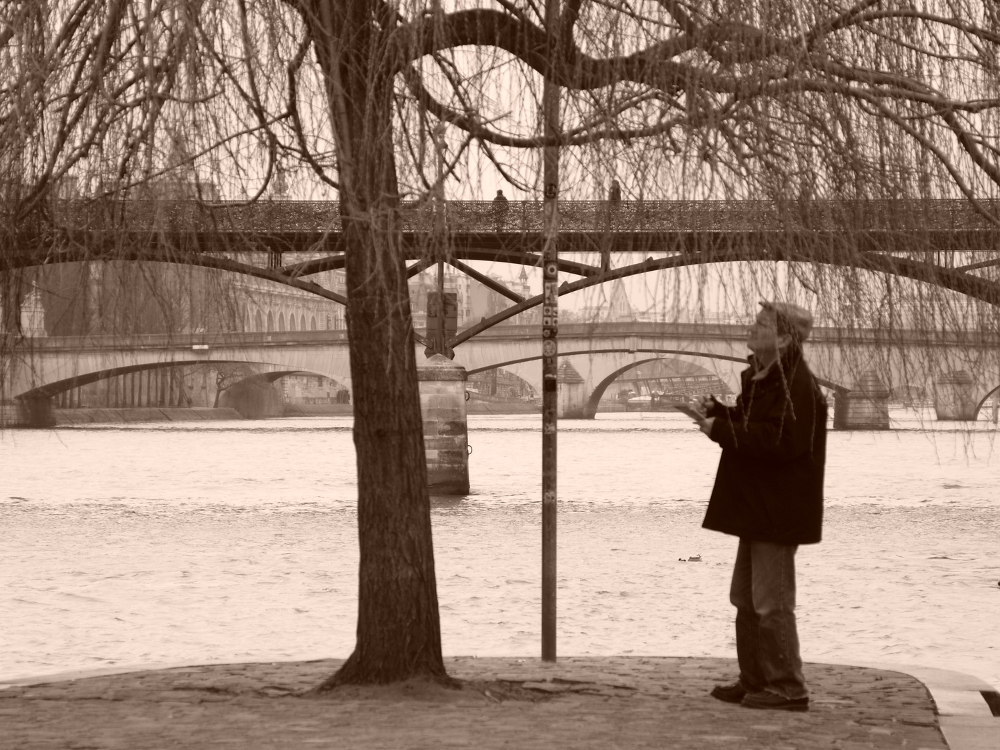 Man Drawing a Tree in Paris