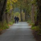 Man geht durch den Tunnel nicht allein