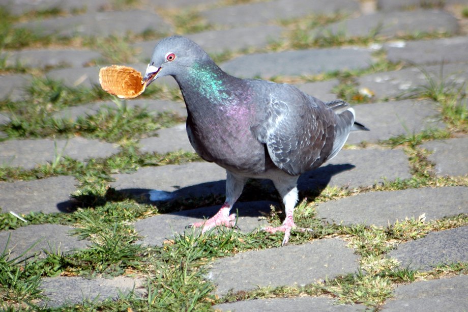 Man hat mir leider kein Eis übrig gelassen :-(