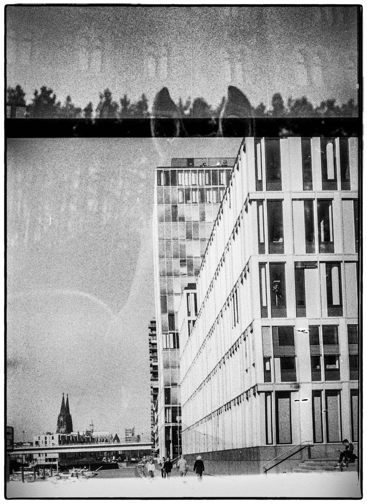 Man hat schon Pferde kotzen sehen... Foto & Bild spezial, analog