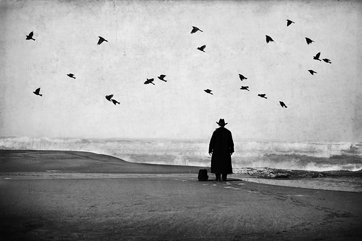 Man in Black at the Beach with Birds