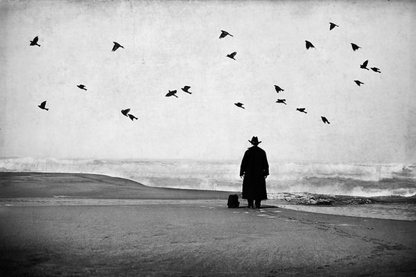 Man in Black at the Beach with Birds