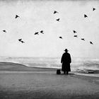 Man in Black at the Beach with Birds