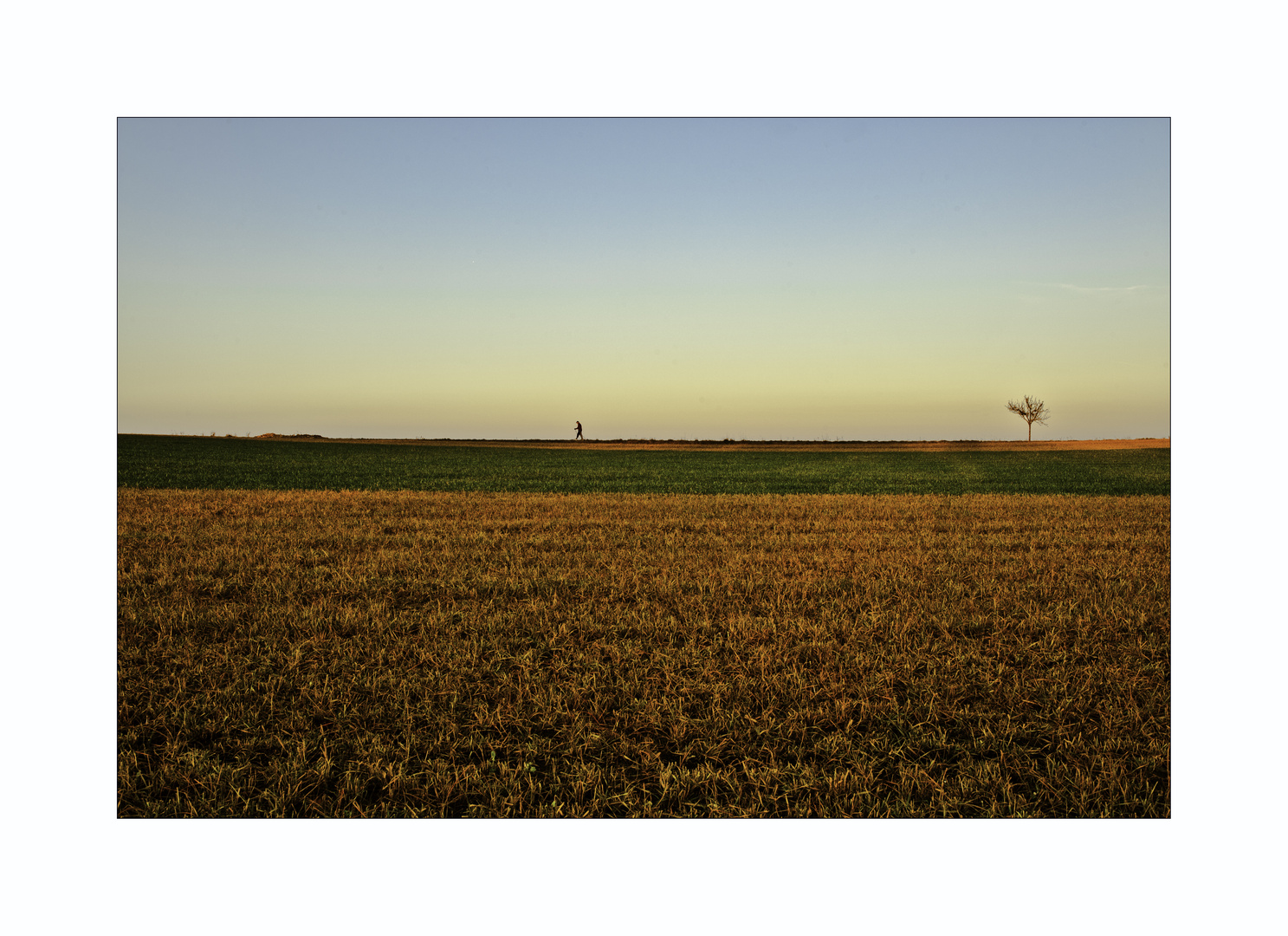 man in herbst