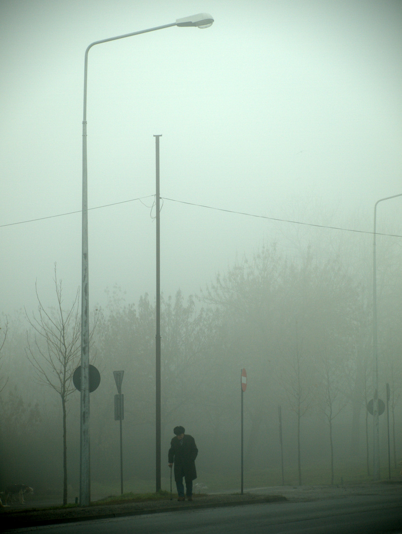 Man in the fog