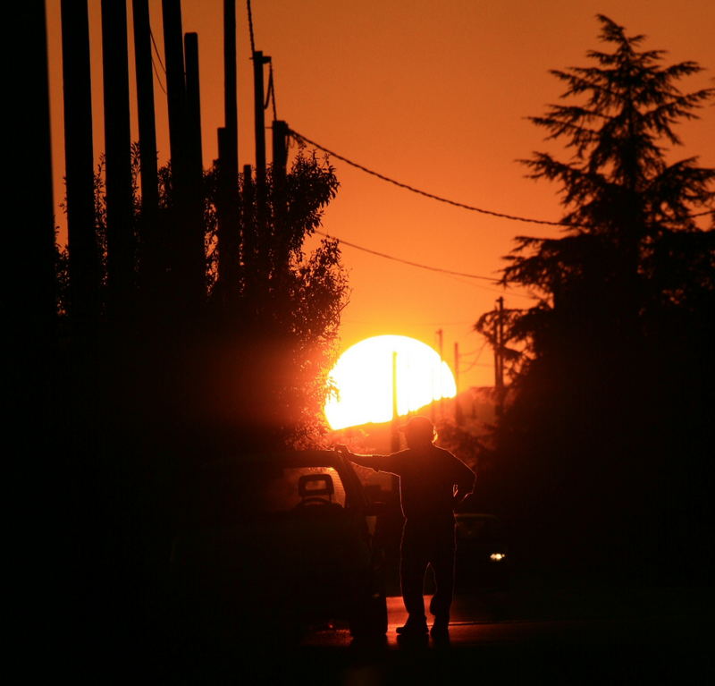 man in the sunset