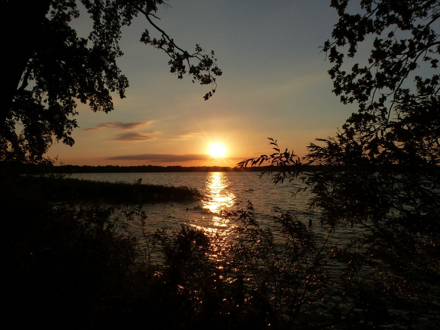 Man kann da nicht einfach vorbeigehen, wenn am Arendsee die Sonne untergeht.