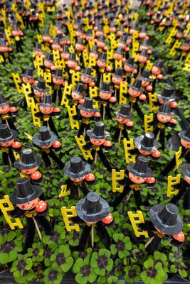 Man kann garnicht genug Glück haben!