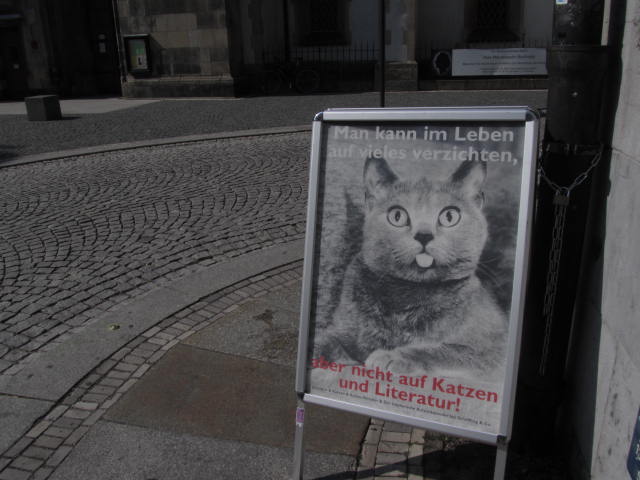 Man kann im Leben auf vieles verzichten,Aber nicht auf Katzen und Literatur!