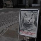 Man kann im Leben auf vieles verzichten,Aber nicht auf Katzen und Literatur!