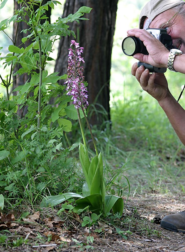 Man kann nicht in Ruhe fotografieren...