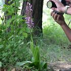 Man kann nicht in Ruhe fotografieren...