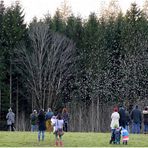 Man kann nicht wie Rotkappchen einfach durch den Wald hupfen.