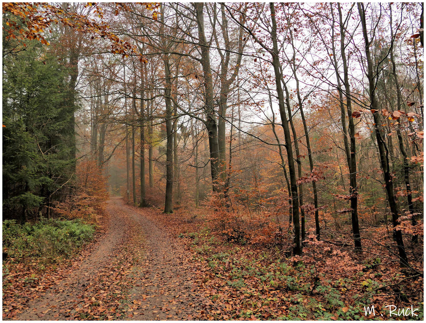 Man kann sich nicht satt sehen an dem herbstlichen Ambiente 