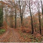 Man kann sich nicht satt sehen an dem herbstlichen Ambiente 