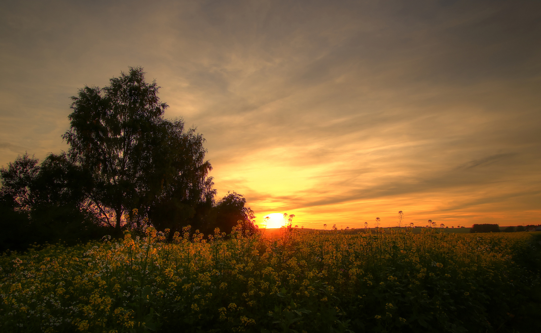 Man könnte denken es ist Frühling