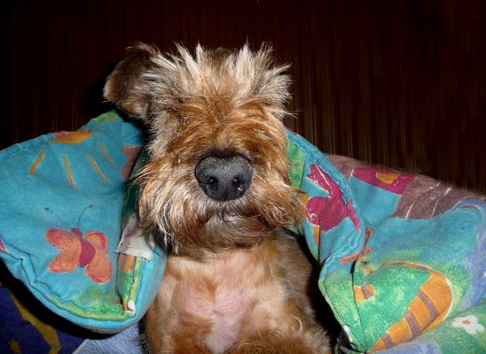 Man konnte einfach nicht mehr hinsehen ...