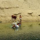 Man kümmert sich um seine Tiere