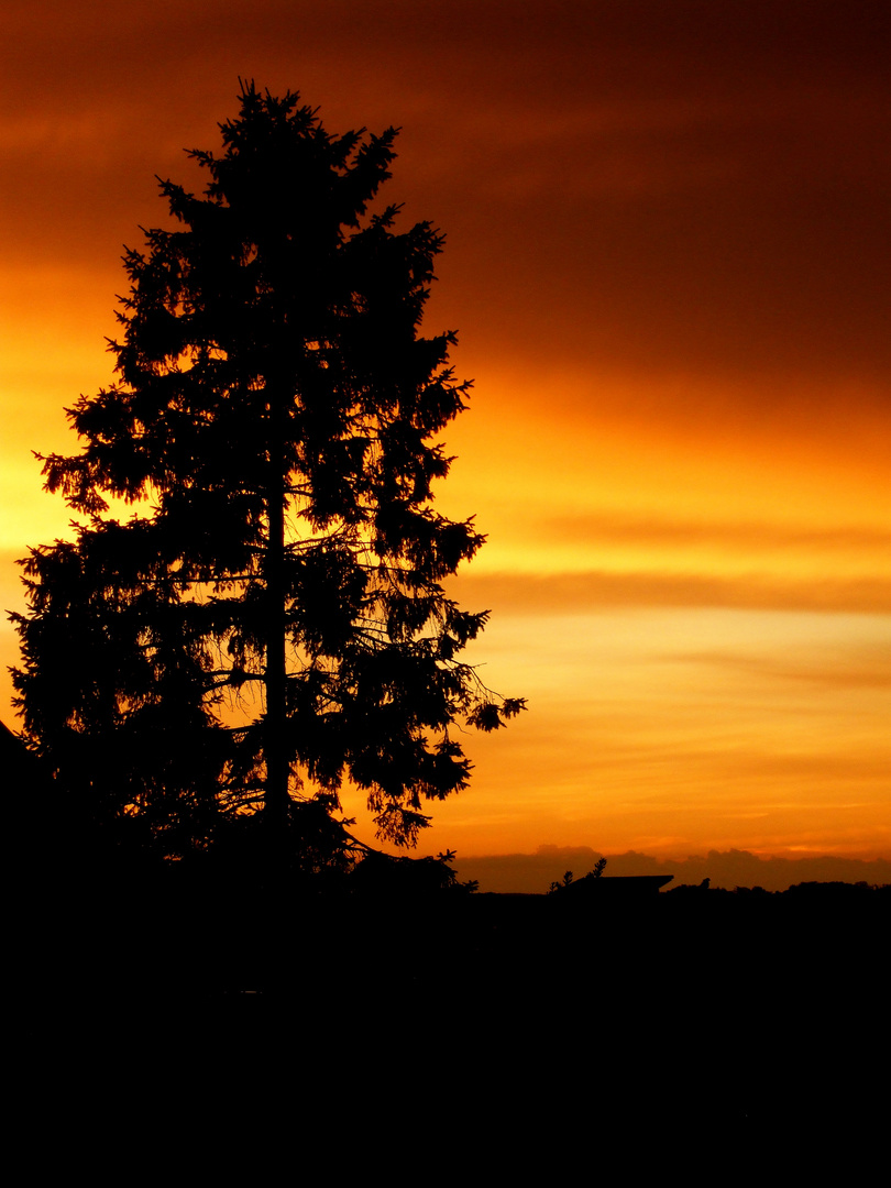 Man liebt doch einfach den verfärbten Himmel..