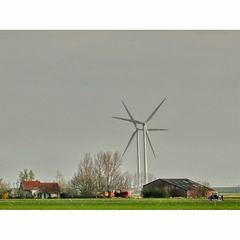 man made landscape in west zeeuws-vlaandern (polder)