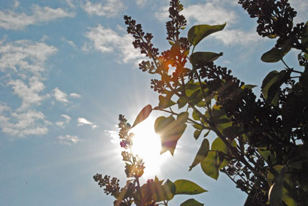 Man merkt,es ist Frühling