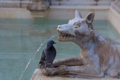 Man muß begreifen, daß man manchmal Taube und manchmal Denkmal ist. © Richard Tauber