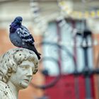 Man muß begreifen, daß man manchmal Taube und manchmal Denkmal ist. © Richard Tauber