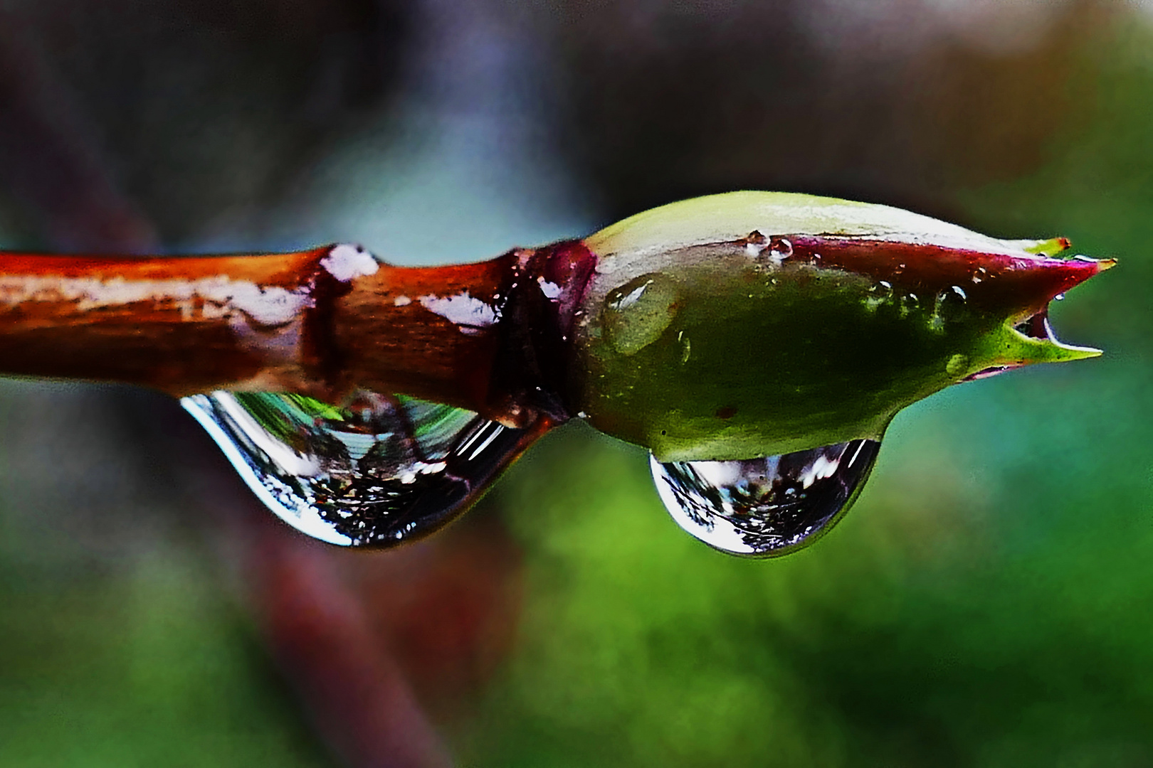 man muß den Regen ausnutzen