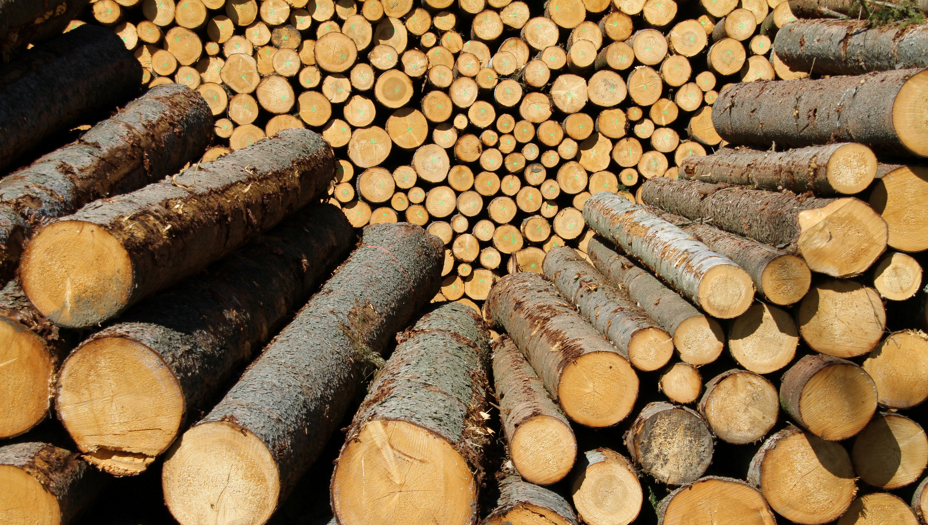 Man muß sein Leben aus dem Holz schnitzen, das man zur Verfügung hat.