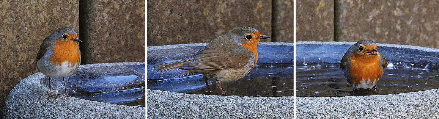 man muss sich nur trauen -