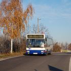 MAN NM 182 auf Linie 120 in Zitzschen