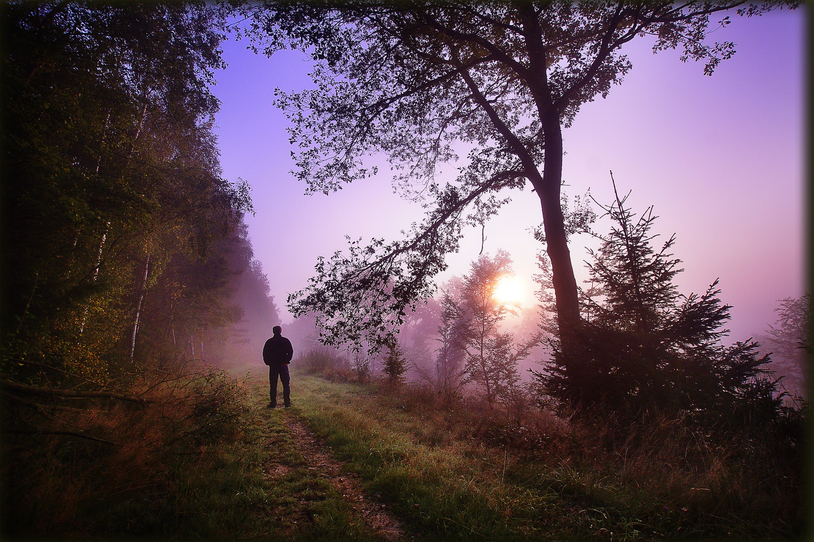 Man of the Mist