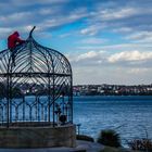 Man on a birdcage