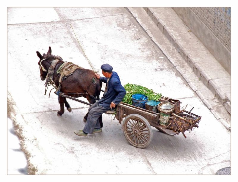 man on cart