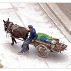 man on cart