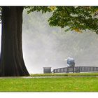 Man on park-bench, early sundaymorning