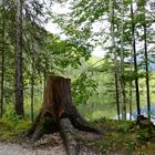 Man schaut auf den Ödensee