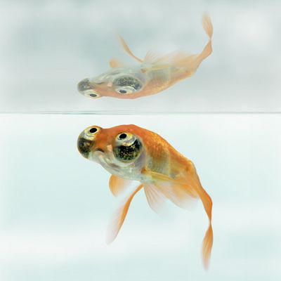 Man, seh´ ich heute scheisse aus...