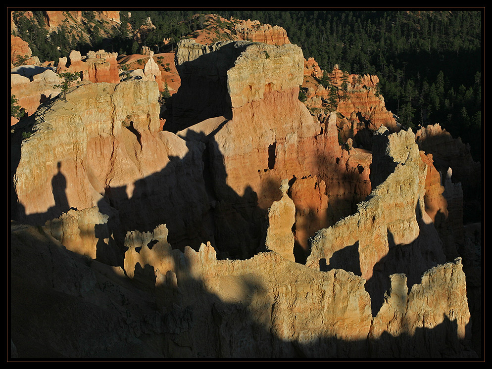 "Man" shadow / Ombre de "l'homme"