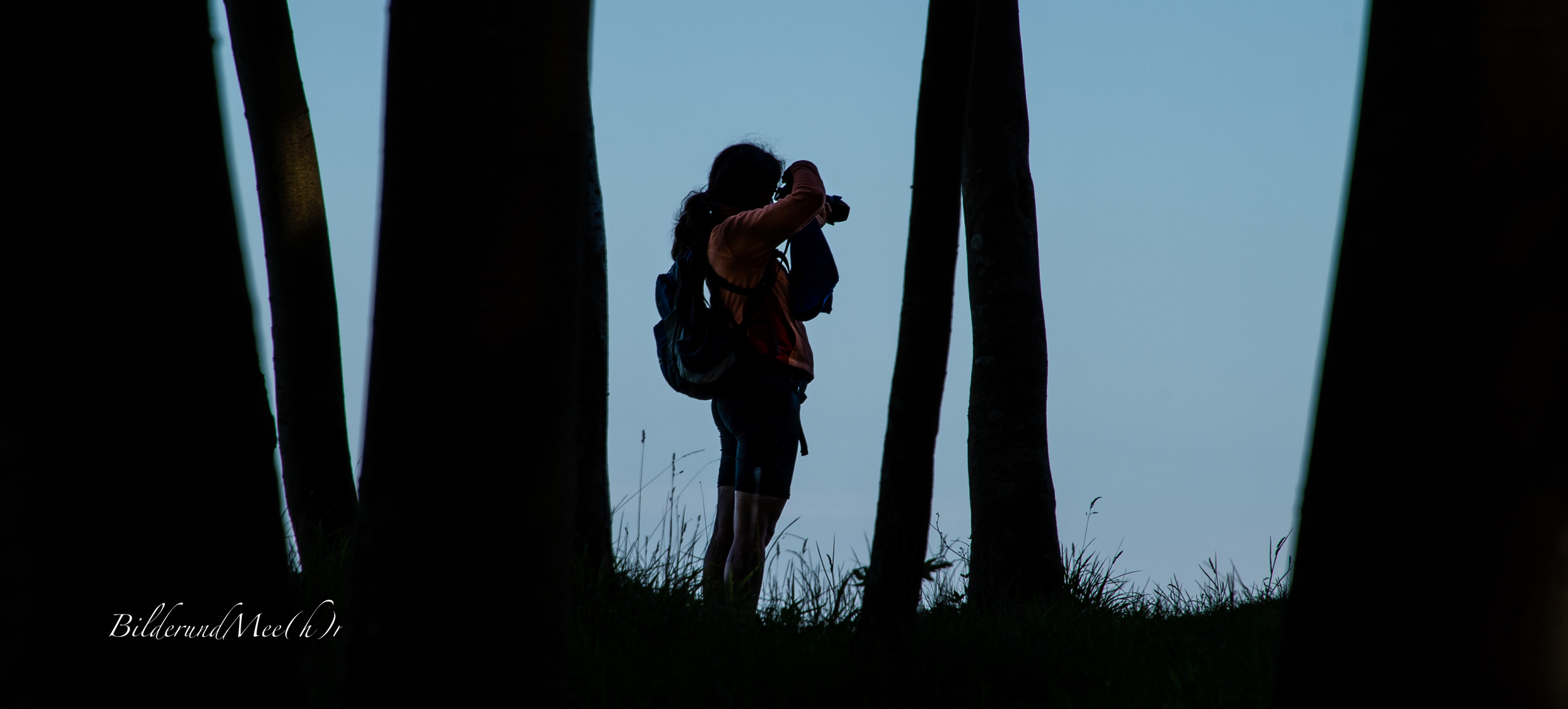 _... man sieht den Wald vor lauter Fotografen nicht