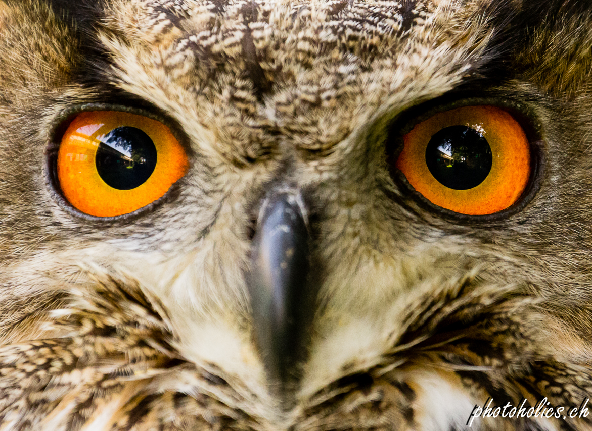 Man sieht nur mit dem Herzen gut, das Wesentliche ist für die Augen unsichtbar.