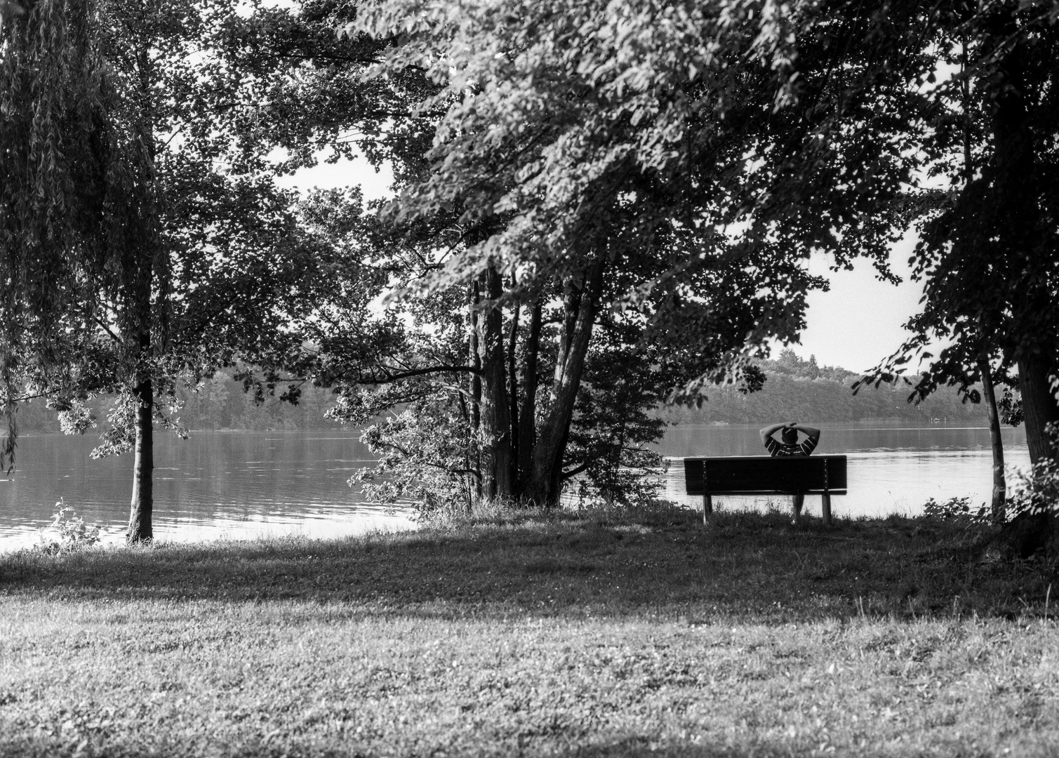 Man sitting on a bench by the lake