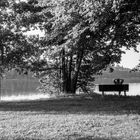 Man sitting on a bench by the lake