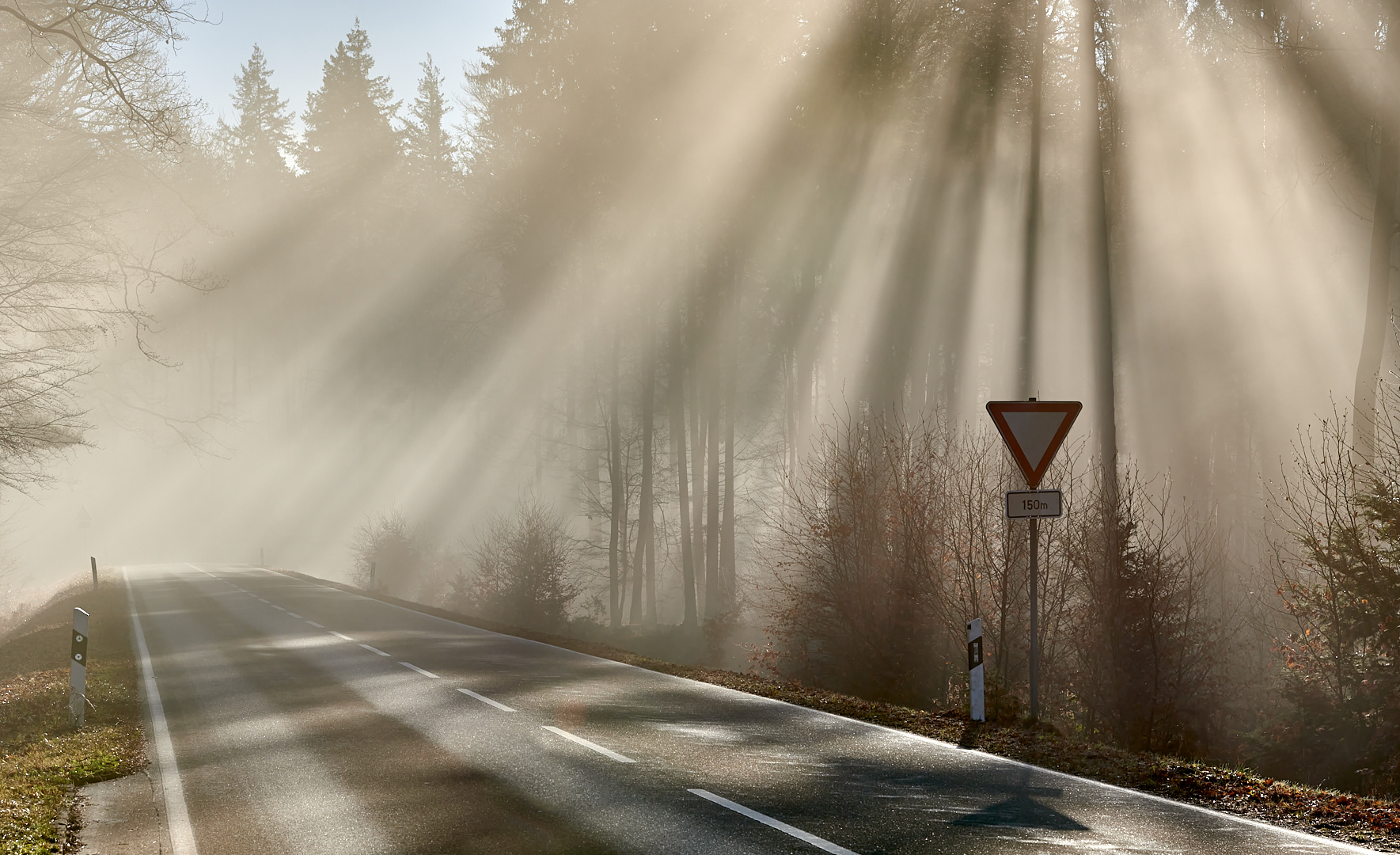 Man soll nie ohne Kamera wegfahren, am 07.12.2023 kurz vor 11 Uhr, eine Licht-Nebelstimmung mit…