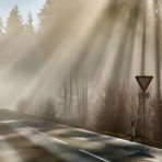 Man soll nie ohne Kamera wegfahren, am 07.12.2023 kurz vor 11 Uhr, eine Licht-Nebelstimmung mit…