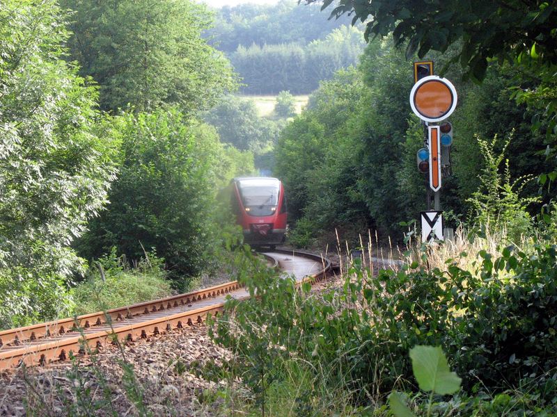 Man sollte mal wieder die Strecke freischneiden!!!