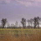 Man spürt schon den Frühling